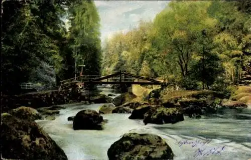 Ak Wald, Brücke, Bach, Landschaft