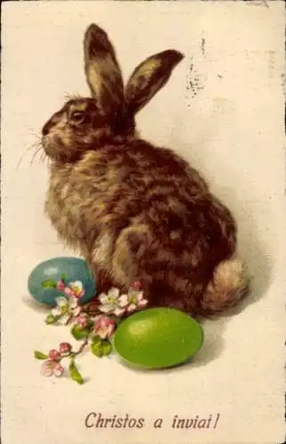 Ak Glückwunsch Ostern, Osterhase, Ostereier, Blumen