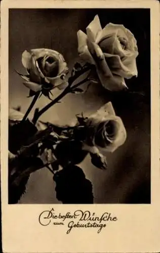 Ak Glückwunsch Geburtstag, Blühende Rosen
