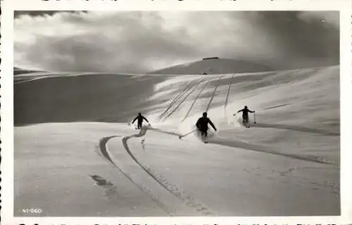 Ak Col Rodella, Wintersport, Skiläufer