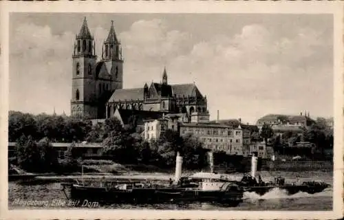 Ak Magdeburg an der Elbe,  Elbe mit Dom