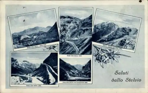 Ak Passo dello Stelvio Stilfserjoch Stilfser Joch Südtirol, Gebirgslandschaft, Gebirgspass, alte 