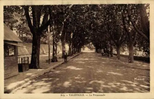 Ak Valensole Alpes de Haute Provence, La Promenade