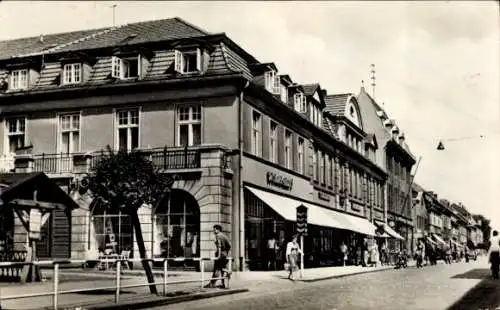 Ak Neustrelitz in Mecklenburg, Vorderansicht eines Gebäudes, Geschäfte, Bäume, Menschen auf Straß