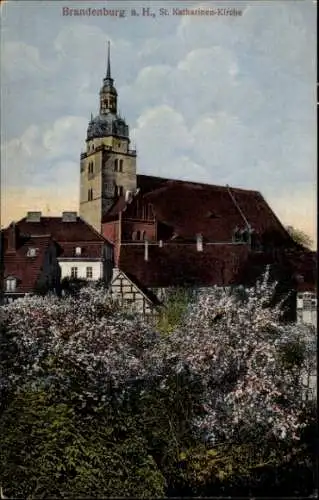 Ak Brandenburg an der Havel, St. Katharinen-Kirche,  Architektur, blühende Bäume