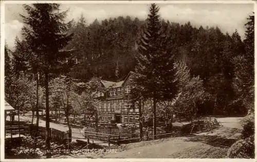 Ak Braunlage im Oberharz, Wolfsbachmühle