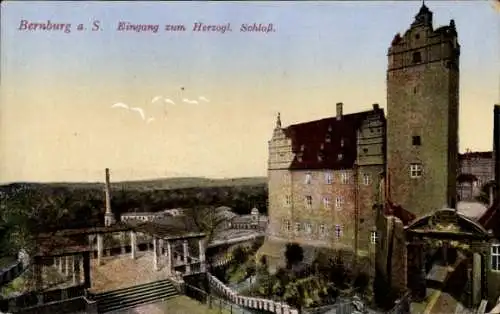 Ak Bernburg an der Saale, Eingang zum Herzoglichen Schloss,  Architektur, Ansicht mit Bäumen