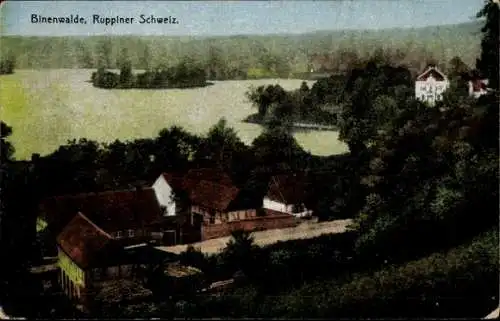 Ak Binenwalde Neuruppin in Brandenburg, Hof, Teilansicht, Wald