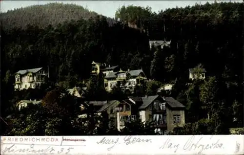 Ak Friedrichroda im Thüringer Wald, Herzogsweg
