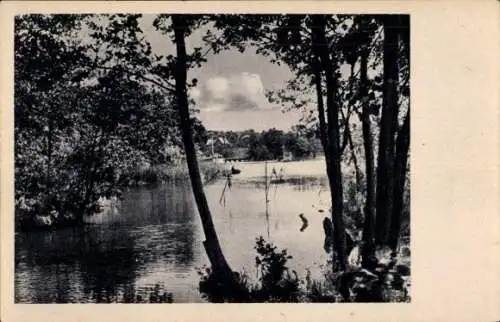 Ak Birkenwerder in Brandenburg, Boddensee