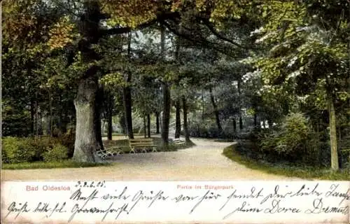 Ak Bad Oldesloe in Holstein, Parklandschaft, Bäume, Rundweg, Bank, Farbige 
