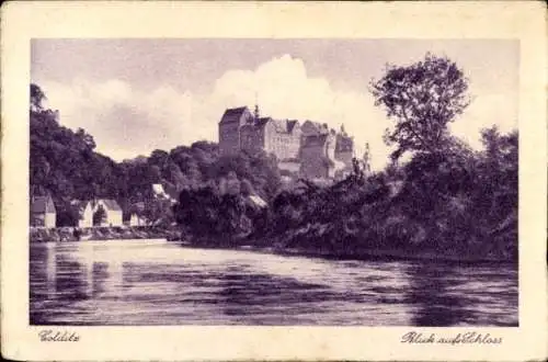 Ak Colditz in Sachsen, Schloss  Blick auf Schloss, Fluss, Stadtansicht