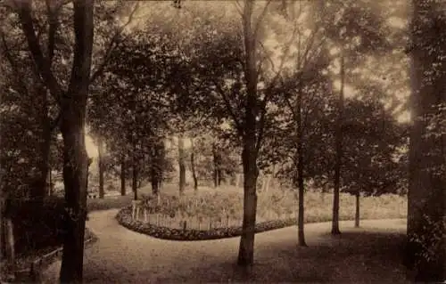 Ak Hamm in Westfalen, Schöner Park, Bäume, Blumenbeete, Wegführung