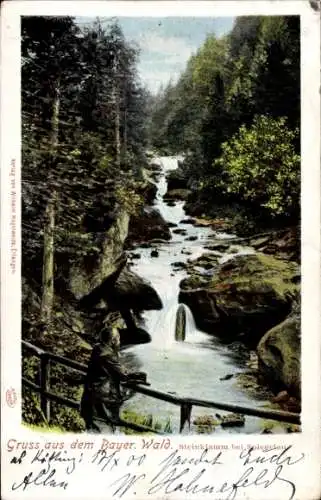 Ak Spiegelau im Bayerischen Wald Niederbayern, Steinklamm