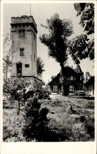 Ak Ehrenberg Altenburg in Thüringen, Berggasthaus, Turm, Bäume, Wiese, aufnahme