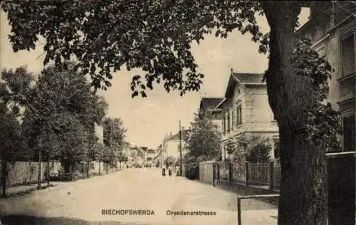 Ak Bischofswerda in Sachsen, Straße mit Häusern, Bäume, ruhige Stadtansicht