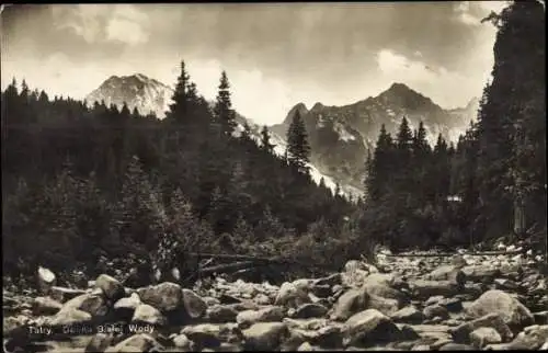 Ak Dolina Gąsienicowa Tatry Polen, Landschaftsbild, Wald, Berge