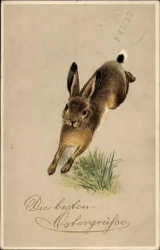 Ak Glückwunsch Ostern, Hase