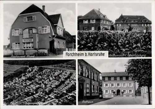 Ak Forchheim (bei Karlsruhe) Rheinstetten in Baden, Restaurant Mund, Reichsanstalt Tabakforschung