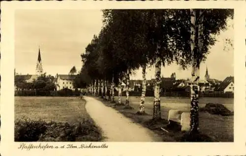 Ak Pfaffenhofen an der Ilm Oberbayern, Birkenallee