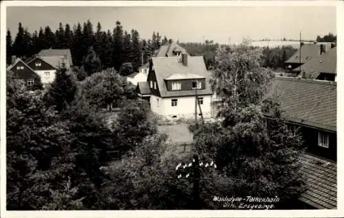 Ak Falkenhain Altenberg im Erzgebirge, Waldidylle, Häuser