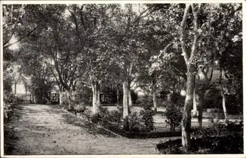 Ak Amorbach im Odenwald Unterfranken, Töchterheim von S. Füchtbauer, Garten