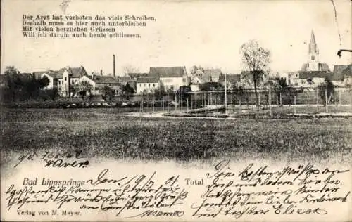 Ak Bad Lippspringe in Westfalen, Gesamtansicht
