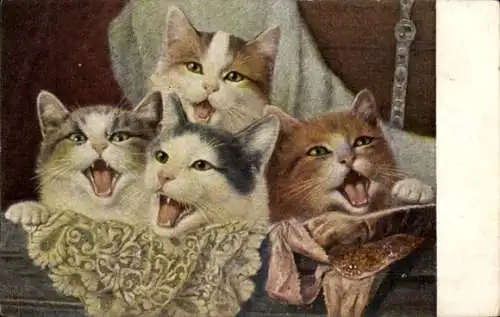 Künstler Ak Vier Katzen, Portrait