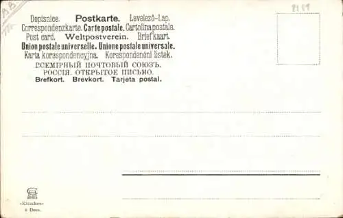 Künstler Ak Vier Katzen, Portrait