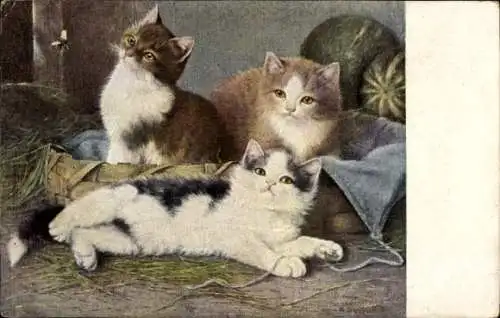 Künstler Ak Drei Katzen, Kätzchen