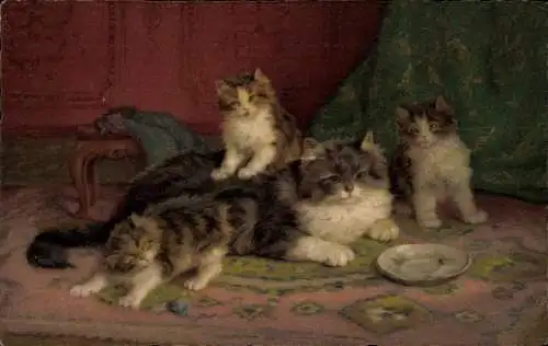 Künstler Ak Katze, Kätzchen