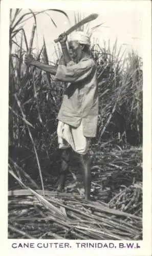Ak Trinidad & Tobago, Cane Cutter
