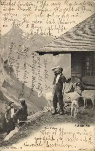 Ak Schweiz, Auf der Alp, Hirte mit Ziegen