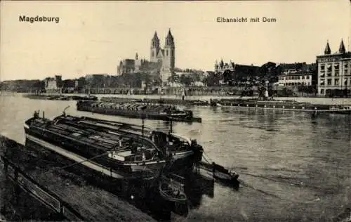 Ak Magdeburg an der Elbe,  Elbansicht mit Dom