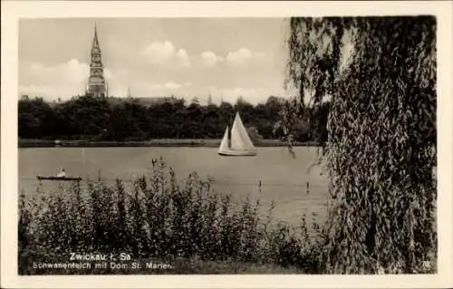 Ak Zwickau in Sachsen, Schwanenteich, Dom Sankt Marien