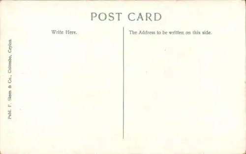 Ak Colombo Ceylon Sri Lanka, Mount Lavinia Hotel, Strand, Palmen, Küstenansicht