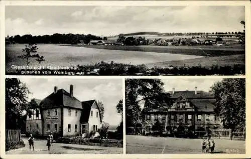 Ak Dreistern Kleinförstchen Göda in der Oberlausitz, Gesamtansicht  Schloss