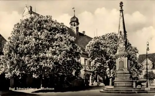 Ak Bad Schmiedeberg in der Dübener Heide, Rathaus, Monument, große Bäume,  Architektur