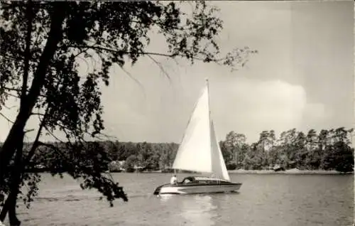 Ak Prieros in der Mark, Blick über die Schmölde, Schmöldesee, Segelboot