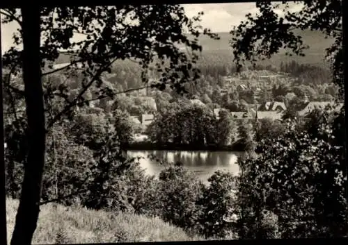 Ak Zinnwald Georgenfeld Altenberg im Erzgebirge, Landschaftsaufnahme, Wasserfläche, umgebende Bäu