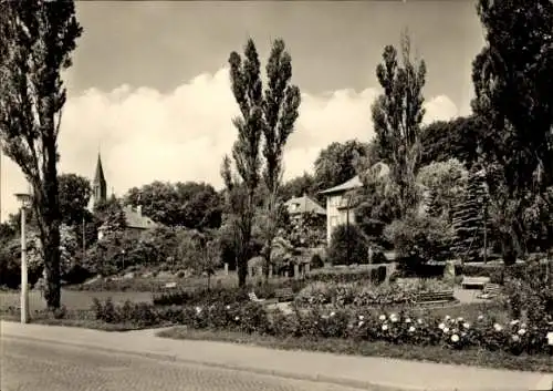 Ak Sassnitz auf Rügen, Parkanlage mit Bäumen, Häusern, Kirche im Hintergrund