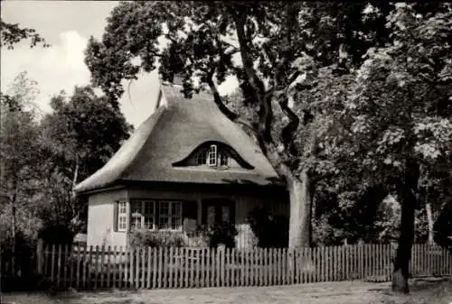 Ak Ostseebad Prerow auf dem Darß, Reetgedecktes Haus, Garten, Holzzaun, Bäume