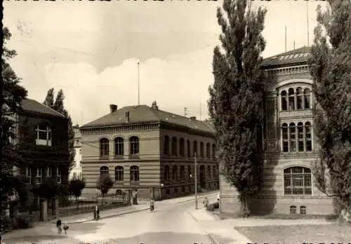 Ak Hansestadt Greifswald, Universitätsgebäude, Bäume, Straße, Schwarz-Weiß-Foto