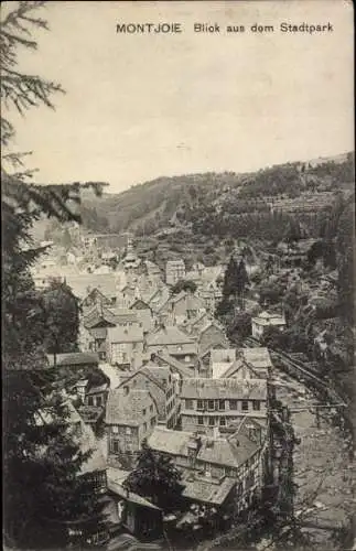 Ak Monschau Montjoie in der Eifel, Blick aus dem Stadtpark,  Stadtansicht, malerische Häuser, Nat