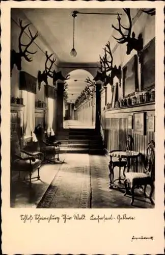 Ak Schwarzburg im Schwarzatal Thüringen, Schwarzburg, Kaisersaal Galerie, Geweihe an den Wänden