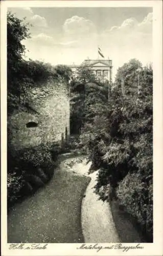 Ak Halle an der Saale, Moritzburg mit Burggraben, Fluss, Bäume, Wolken, Gebäude