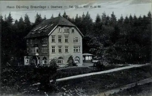 Ak Braunlage im Oberharz, Haus Dümling, Oberharz, 620 m ü. M., Telefon 256