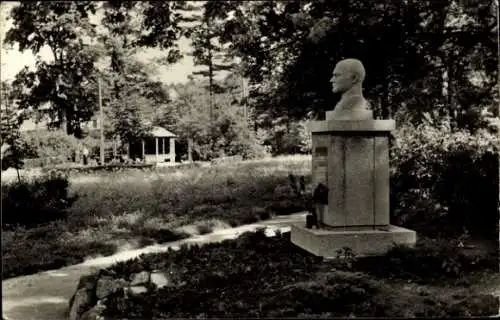 Ak Teuchern im Burgenlandkreis, Denkmal mit Büste, Park, Bäume, Weg