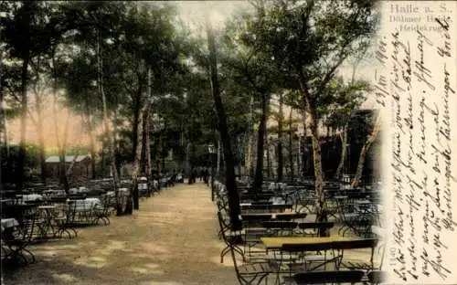 Ak Dölau Halle an der Saale, Dölauer Heide, Heidekrug