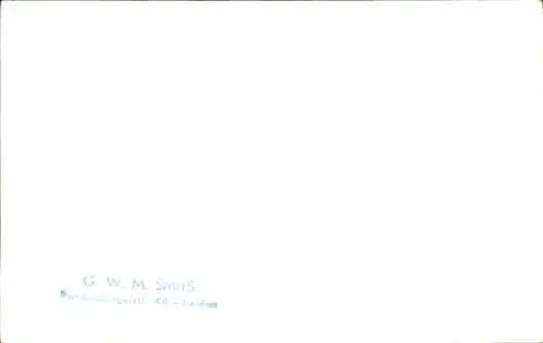 Foto Drei Hunde, Portrait